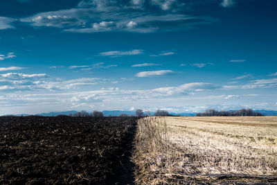 Scenic view of farm against sky