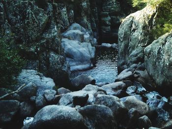 Rocks in water at forest