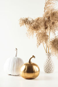 Close-up of fruits on table against white background