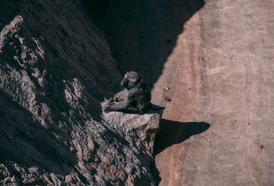 High angle view of shadow on rock