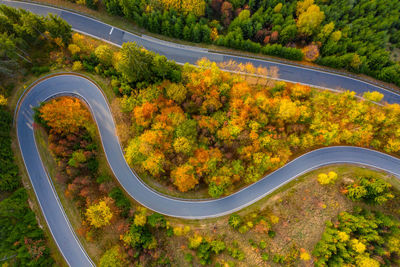 High angle view of road amidst trees during autumn