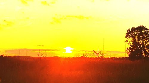 Scenic view of field against sky during sunset