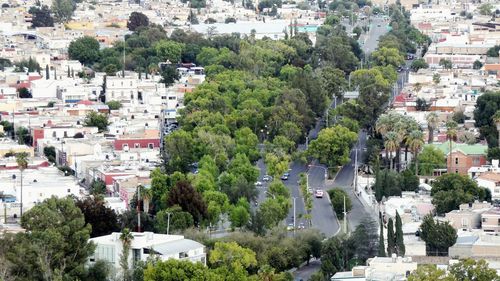 High angle view of townscape and trees in city