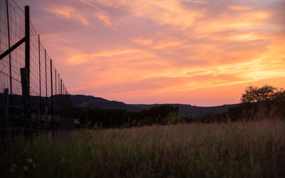Scenic view of field against sky during sunset