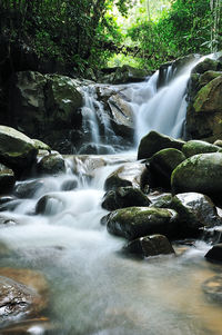 View of waterfall in forest