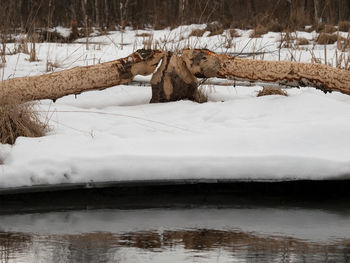 Scenic view of frozen lake during winter