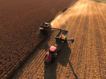 Corn harvest in the midwest