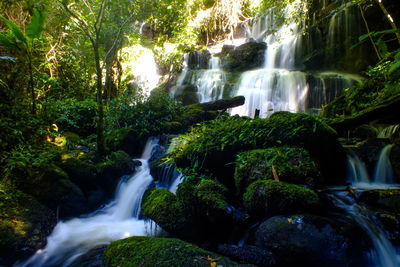 View of waterfall in forest