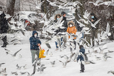 People standing on snow covered tree