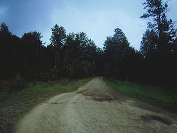 Road amidst trees in forest against sky