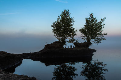 Tree by lake against sky