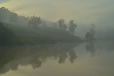 Reflection of trees in lake against sky