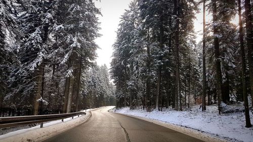 Road amidst trees against sky during winter