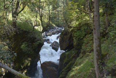 Scenic view of waterfall in forest