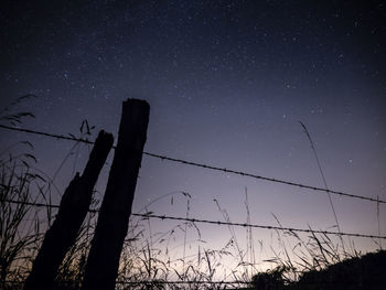 Low angle view of silhouette trees against clear sky at night