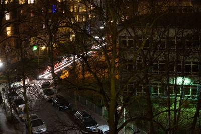 View of trees in the dark