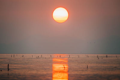 Scenic view of sunset