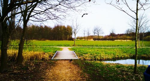 Scenic view of land against clear sky