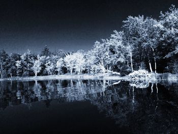 Scenic view of lake