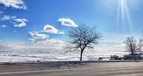 Bare trees on snow covered field against sky