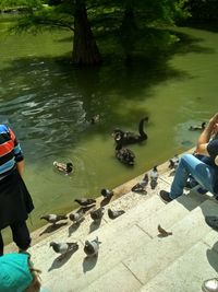 High angle view of ducks in lake