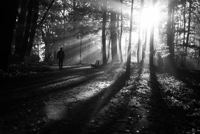 Man walking on road in forest