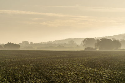 Scenic view of field against sky during sunset