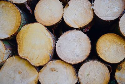 Full frame shot of logs in forest