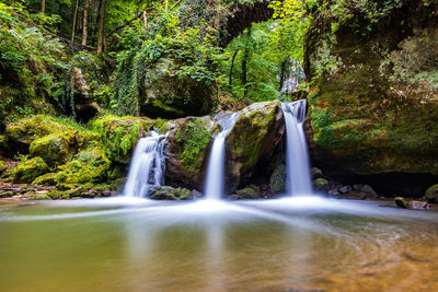 Low angle view of waterfall in forest