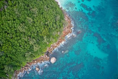 Drone field of view of turquoise blue waters meeting coastline praslin, seychelles.