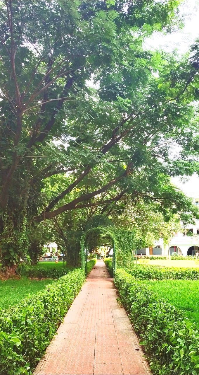 FOOTPATH IN PARK