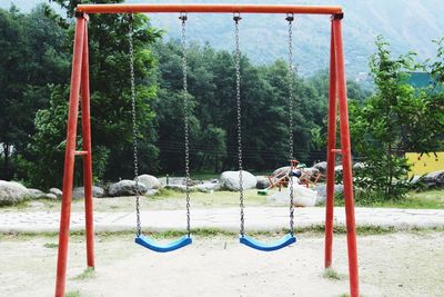 View of dog on playground