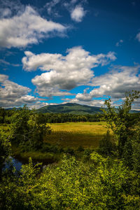 Scenic view of field against cloudy sky