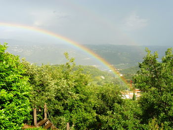 Rainbow over trees against sky