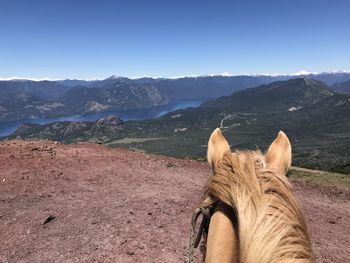 View of a horse on mountain against sky