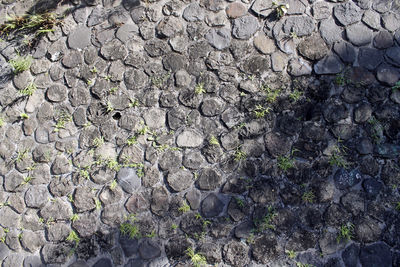 Full frame shot of stone wall