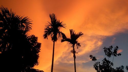 Low angle view of silhouette palm trees against orange sky