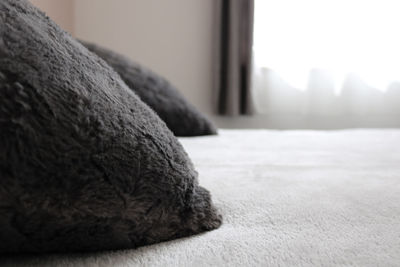 Close-up of a cat relaxing on bed at home