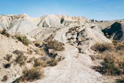 Scenic view of landscape against clear sky