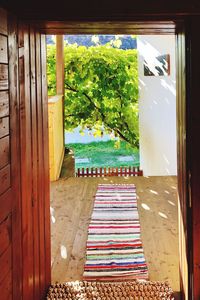 Trees and house seen through window of building