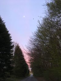 Road amidst trees against clear sky