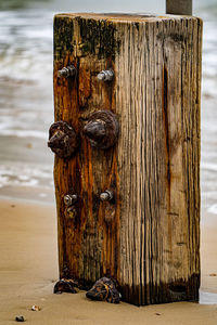 Wooden beach stump
