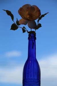 Close-up of blue flower in vase against sky