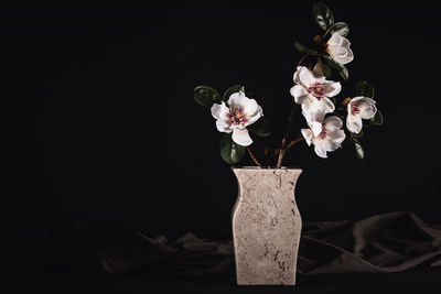 Close-up of white flower vase against black background