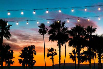 Silhouette trees against sky at night