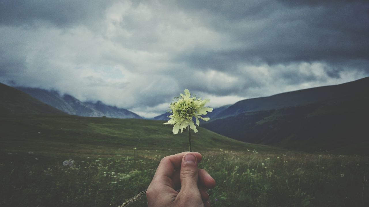 person, holding, flower, part of, personal perspective, mountain, unrecognizable person, beauty in nature, nature, landscape, sky, cloud, tranquility, field, freshness, fragility, plant, human finger, scenics, dandelion, bouquet, tranquil scene, outdoors, cloud - sky, day, focus on foreground, growth, mountain range