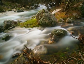 Stream flowing through rocks in forest