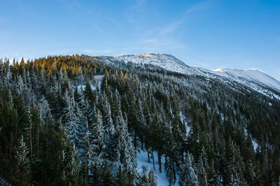 Scenic view of snow covered mountain against sky