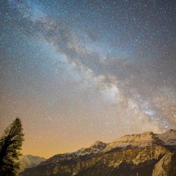 Low angle view of star field against sky at night