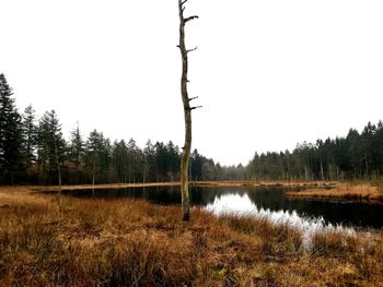 Scenic view of lake against clear sky
